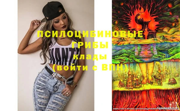 прущие крисы Абинск