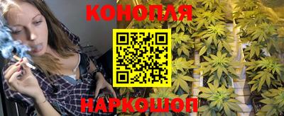 mdpv Лесосибирск