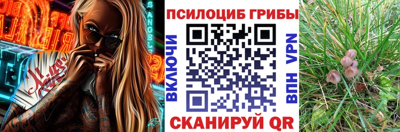 Псилоцибиновые грибы Psilocybine cubensis  hydra ссылки  Новотроицк  где найти наркотики 