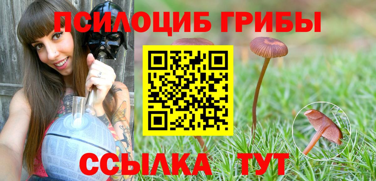 Галлюциногенные грибы GOLDEN TEACHER  наркотики  Новотроицк  Псилоцибиновые грибы мицелий  Вход с VPN 