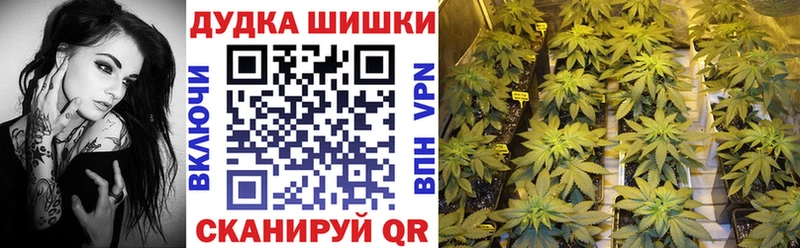 даркнет официальный сайт  Новотроицк  гидра сайт  Марихуана SATIVA & INDICA  продажа наркотиков 
